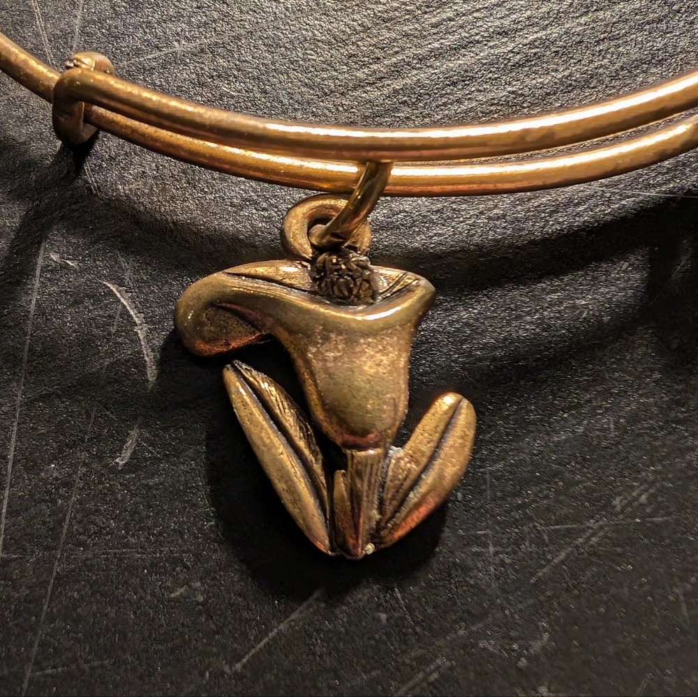 Alex and Ani Sacred Garden Calla Lily Bangle Gold Finish Retired - Picture 7 of 7